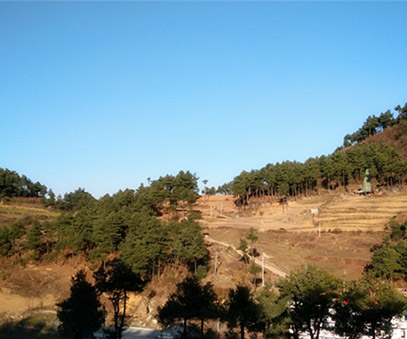 贵州开元“低品位多金属伴生矿选矿厂建设项目”通过政府备案