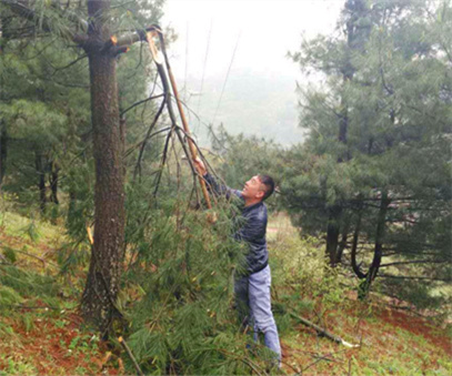 贵州开元员工巡查高压线路纪实