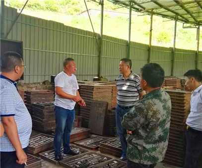 河南豫光采购代表团到贵州开元参观考察